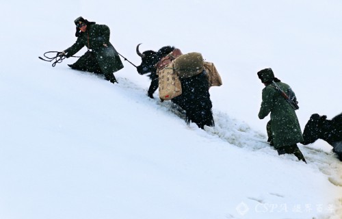 18、2004年6月，新疆红其拉甫边防连官兵冒雪巡逻，该连是唯一因道路险峻而骑牦牛巡逻的连队。李靖摄