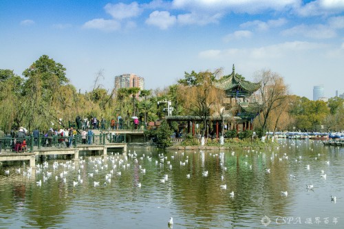 昆明翠湖公园