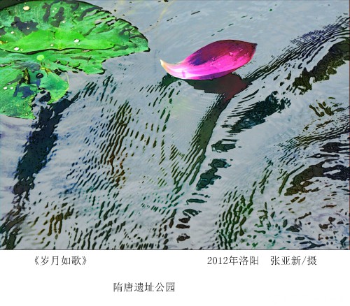 《岁月如歌》张亚新，2012年洛阳，隋唐遗址公园