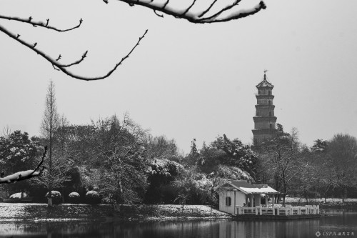 《冬韵》刘 波 2019年元月拍摄于文峰公园 6263