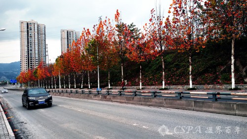 _202012081604256.jpg