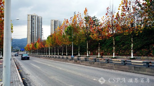 _202012081604257.jpg