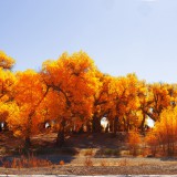 _MG_6308-Pano