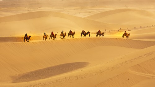 沈兰林沙漠之旅