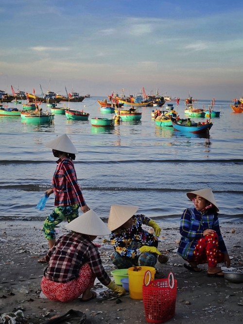 摄于越南南部海边。清晨，当地村民把刚刚从渔船上卸来的各种鱼获进行分拣，然后当场售卖，海滩上一片忙碌景象。
