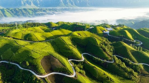 李连生 扶贫公路绕茶山