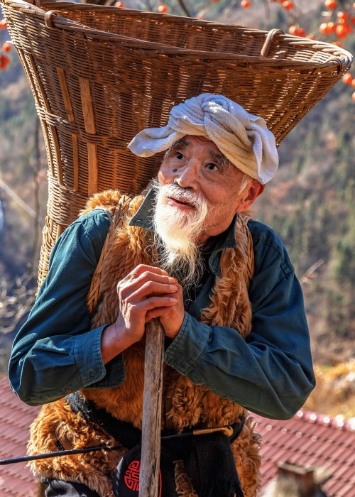 李连生 背着背篓去巡山