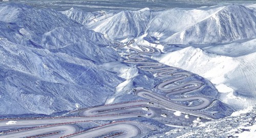 炎俊鸟 雪岭旋途