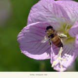 _DSC0218-