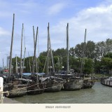 _DSC9217-