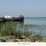 _DSC9933-