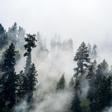 6f18f23ec61dbbda1dd3bb10dd6addb7