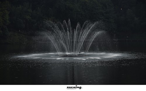 _DSC4845--2.jpg