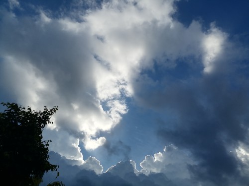 IMG_20250615_070935.jpg