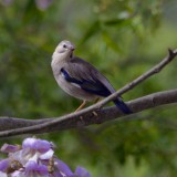 IMG_3479