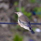 IMG_3480