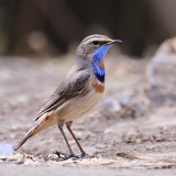 IMG_3671