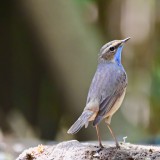 IMG_3688