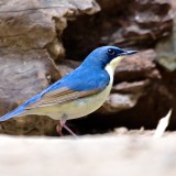 IMG_4058
