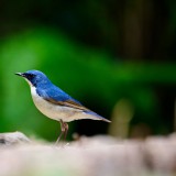 IMG_4059