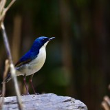 IMG_4065