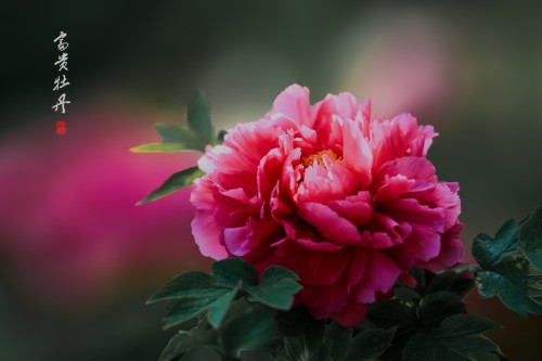 --59f981a9f6df4c71.jpg