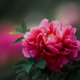 --59f981a9f6df4c71