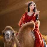 --3eeb9b097e107f15