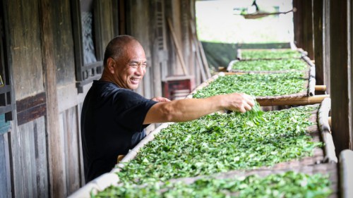 司绍友 舌尖上梦幻