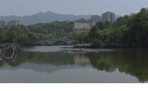 _DSC9608.jpg