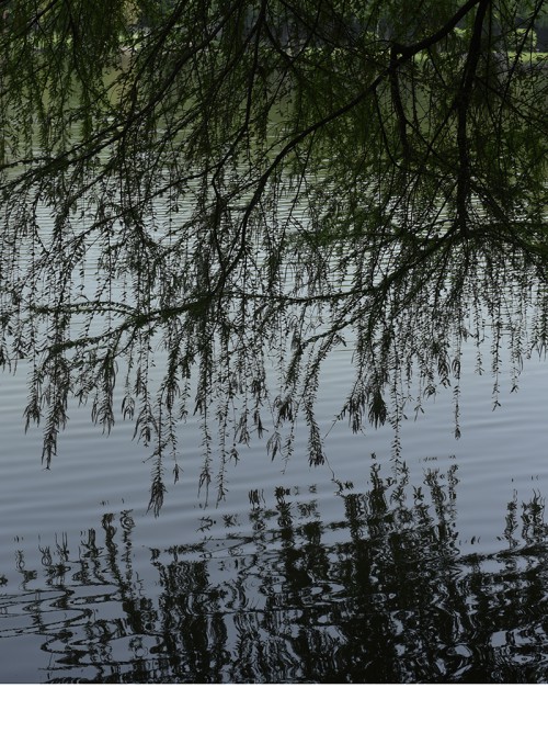 _DSC9633.jpg