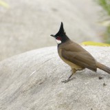 IMG_8296