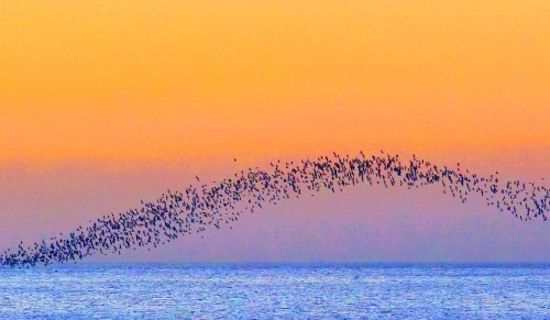 _20251006150904_192_1.jpg