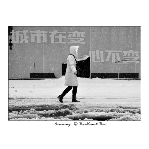 Crossing-2.jpg
