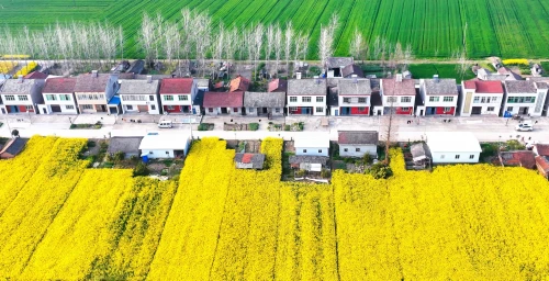潘泽明 村色