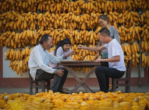 李华康 乐在棋中