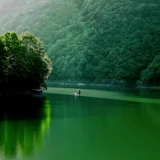 --ff8d8685561a0c7f