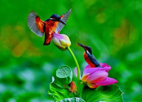 --28af3272fcb20e0c.webp