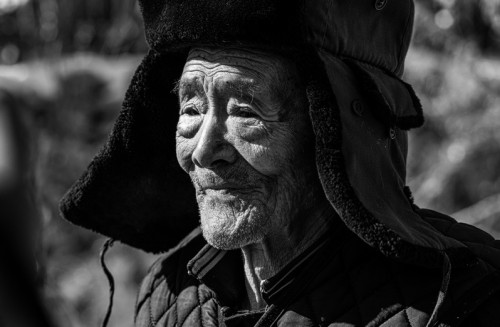 杨树德 年轮
