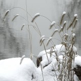 --5bd0b803fb3490ea