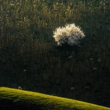 --5d9b00553f2b5952