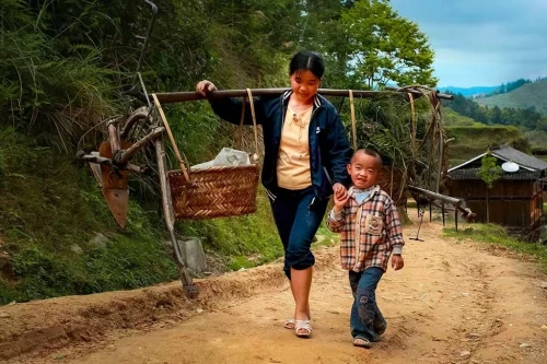 杨锡豪 妈妈回来了