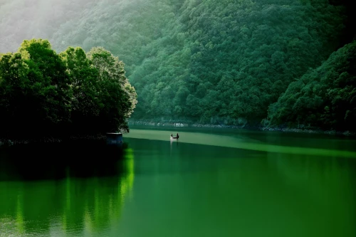 --c6c365e0bc78c078.webp
